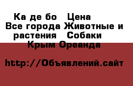 Ка де бо › Цена ­ 25 - Все города Животные и растения » Собаки   . Крым,Ореанда